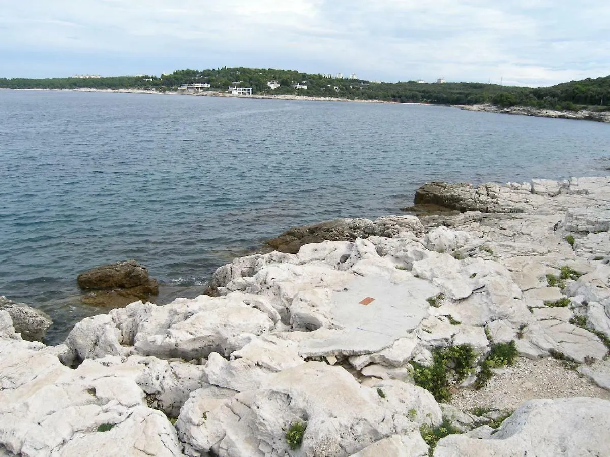 Apartment Darinka Pula