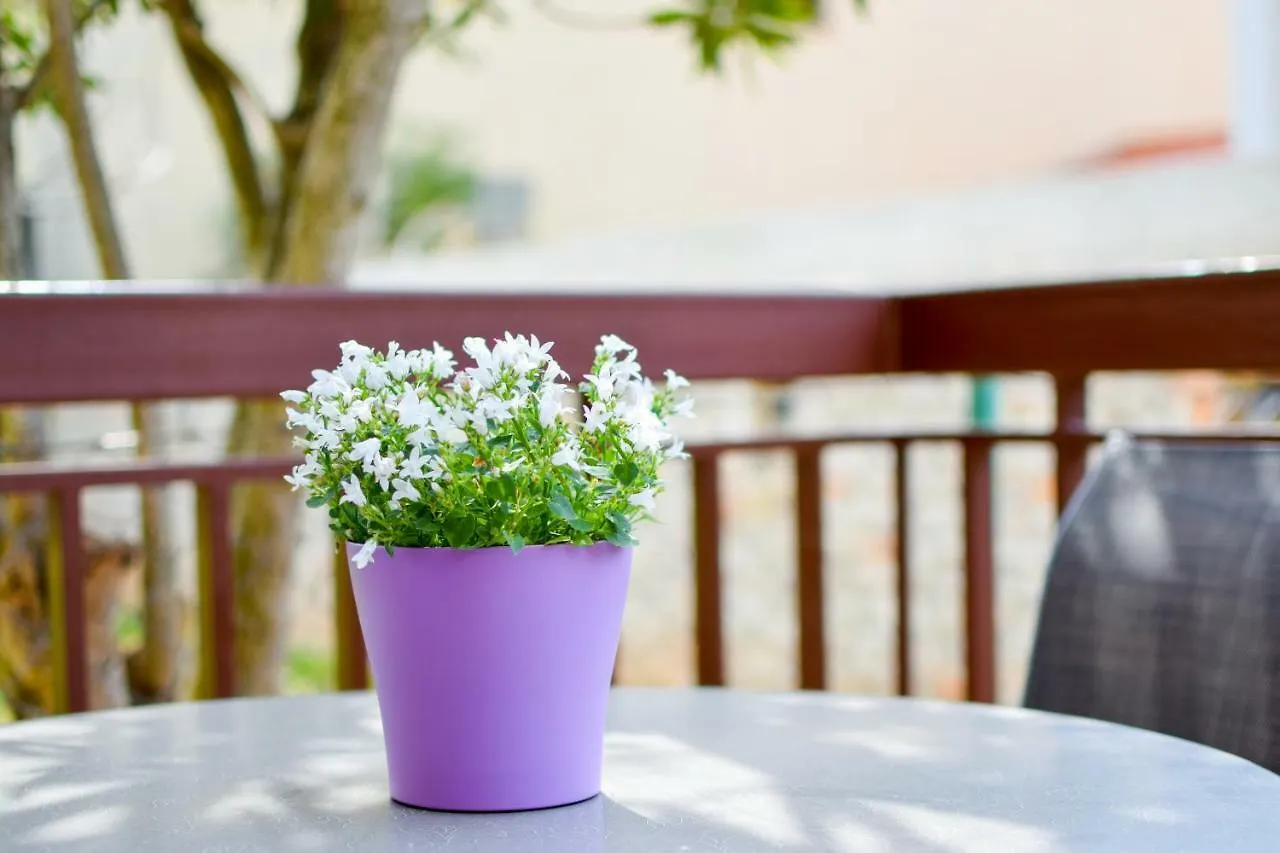 Apartment Darinka Pula